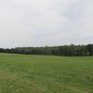 Photo #1 of TBD TRANSCO RD, SCOTTSVILLE, VA 96.5 acres