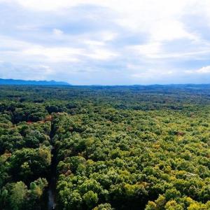 Photo #20 of TBD HORSESHOE HOLLOW, GREENVILLE, VA 0.9 acres