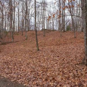 Photo #13 of TBD HORSESHOE HOLLOW, GREENVILLE, VA 0.9 acres