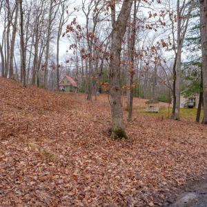 Photo #14 of TBD HORSESHOE HOLLOW, GREENVILLE, VA 0.9 acres
