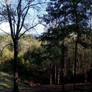 Photo #25 of TBD BATESVILLE RD, AFTON, VA 2.0 acres