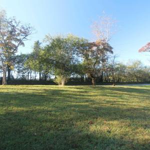 Photo #4 of TBD BATESVILLE RD, AFTON, VA 2.0 acres
