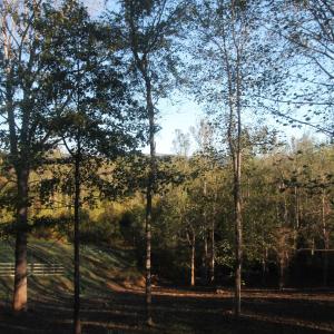 Photo #7 of TBD BATESVILLE RD, AFTON, VA 2.0 acres