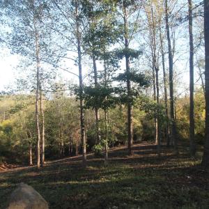 Photo #3 of TBD BATESVILLE RD, AFTON, VA 2.0 acres