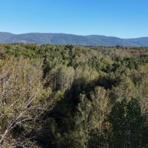 Photo #27 of TBD BATESVILLE RD, AFTON, VA 2.0 acres