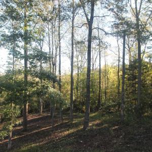 Photo #3 of TBD BATESVILLE RD, AFTON, VA 2.0 acres