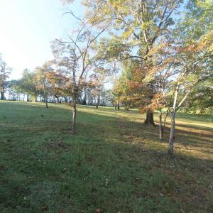 Photo #5 of TBD BATESVILLE RD, AFTON, VA 2.0 acres