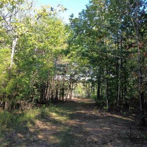 Photo #13 of 87 OLD FORK LN, PALMYRA, VA 8.1 acres
