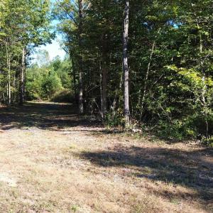 Photo #15 of 87 OLD FORK LN, PALMYRA, VA 8.1 acres