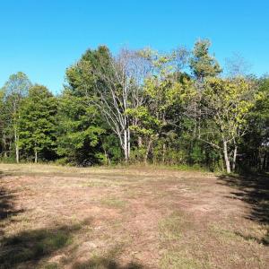 Photo #4 of 87 OLD FORK LN, PALMYRA, VA 8.1 acres