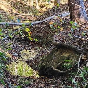 Photo #11 of 87 OLD FORK LN, PALMYRA, VA 8.1 acres