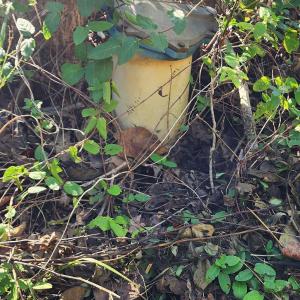 Photo #12 of 87 OLD FORK LN, PALMYRA, VA 8.1 acres