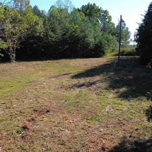 Photo #5 of 87 OLD FORK LN, PALMYRA, VA 8.1 acres