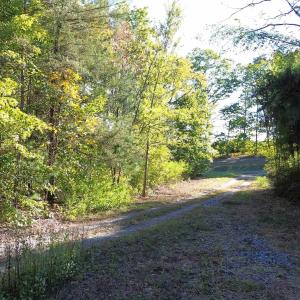 Photo #14 of 87 OLD FORK LN, PALMYRA, VA 8.1 acres