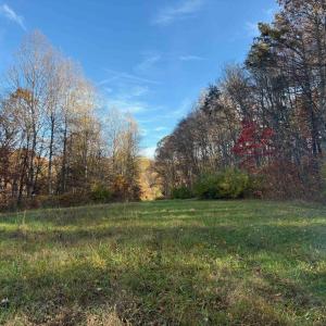 Photo #11 of Lot D, TM 24-30 HOOVER RD, REVA, VA 4.5 acres