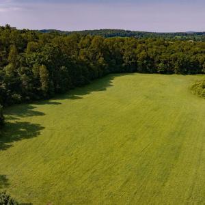 Photo #3 of Lot D, TM 24-30 HOOVER RD, REVA, VA 4.5 acres