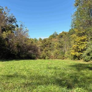 Photo #6 of Lot D, TM 24-30 HOOVER RD, REVA, VA 4.5 acres