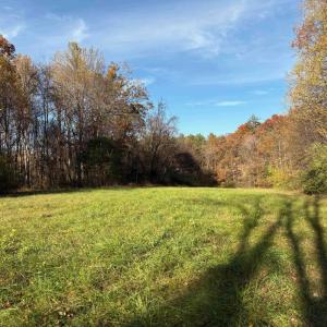 Photo #10 of Lot D, TM 24-30 HOOVER RD, REVA, VA 4.5 acres