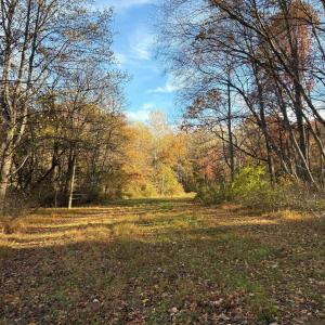 Photo #9 of Lot D, TM 24-30 HOOVER RD, REVA, VA 4.5 acres