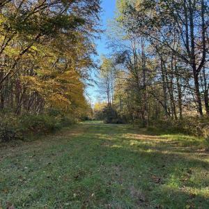 Photo #1 of Lot E, TM 24-30 HOOVER RD, REVA, VA 7.3 acres