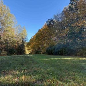 Photo #7 of Lot E, TM 24-30 HOOVER RD, REVA, VA 7.3 acres