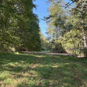 Photo #4 of Lot E, TM 24-30 HOOVER RD, REVA, VA 7.3 acres