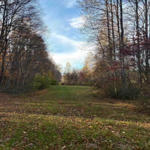Photo #2 of Lot E, TM 24-30 HOOVER RD, REVA, VA 7.3 acres