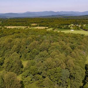 Photo #3 of Lot E, TM 24-30 HOOVER RD, REVA, VA 7.3 acres