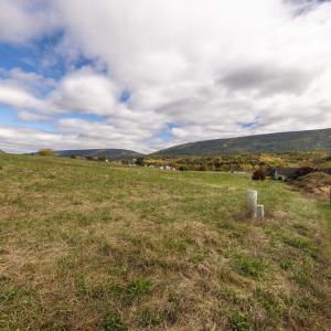 Photo #73 of TBD CLICKS LN, NEW MARKET, VA 0.5 acres