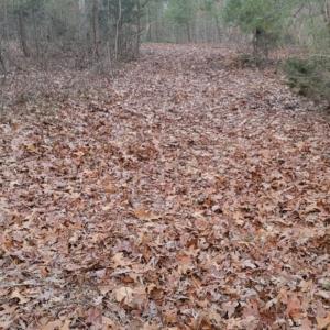 Photo #21 of tbd MIRACLE RIDGE RD, ELKTON, VA 35.9 acres