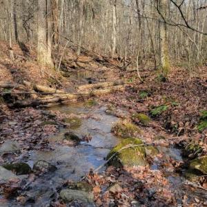 Photo #31 of tbd MIRACLE RIDGE RD, ELKTON, VA 35.9 acres