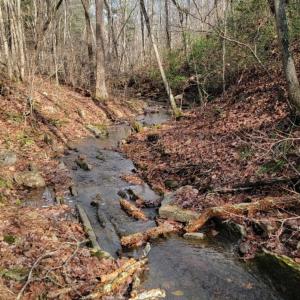 Photo #28 of tbd MIRACLE RIDGE RD, ELKTON, VA 35.9 acres