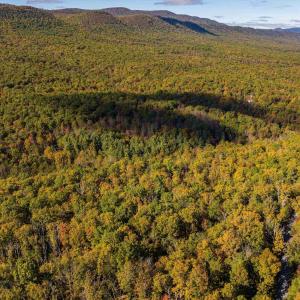 Photo #15 of tbd MIRACLE RIDGE RD, ELKTON, VA 35.9 acres