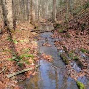 Photo #25 of tbd MIRACLE RIDGE RD, ELKTON, VA 35.9 acres