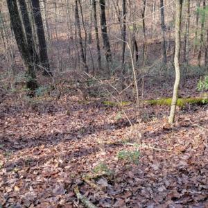 Photo #20 of tbd MIRACLE RIDGE RD, ELKTON, VA 35.9 acres