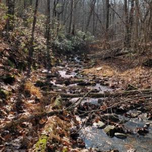 Photo #32 of tbd MIRACLE RIDGE RD, ELKTON, VA 35.9 acres