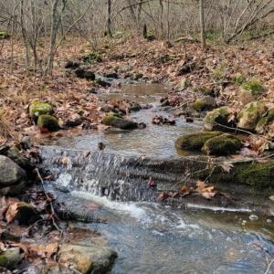 Photo #6 of tbd MIRACLE RIDGE RD, ELKTON, VA 35.9 acres