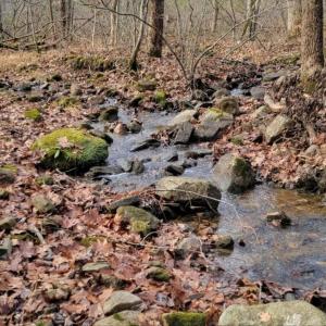 Photo #24 of tbd MIRACLE RIDGE RD, ELKTON, VA 35.9 acres