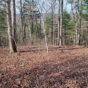 Photo #22 of tbd MIRACLE RIDGE RD, ELKTON, VA 35.9 acres