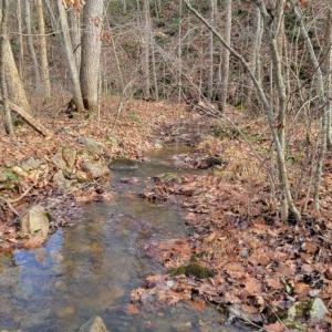 Photo #26 of tbd MIRACLE RIDGE RD, ELKTON, VA 35.9 acres