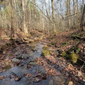 Photo #30 of tbd MIRACLE RIDGE RD, ELKTON, VA 35.9 acres