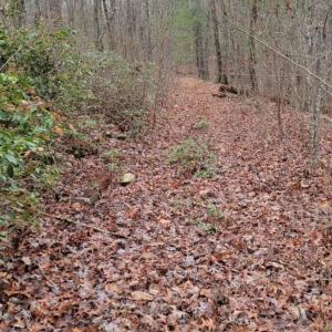 Photo #19 of tbd MIRACLE RIDGE RD, ELKTON, VA 35.9 acres