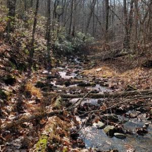 Photo #29 of tbd MIRACLE RIDGE RD, ELKTON, VA 35.9 acres