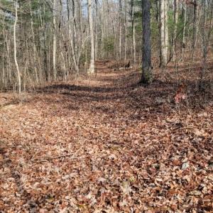 Photo #10 of tbd MIRACLE RIDGE RD, ELKTON, VA 35.9 acres