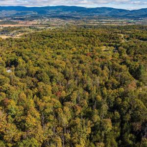 Photo #7 of tbd MIRACLE RIDGE RD, ELKTON, VA 35.9 acres