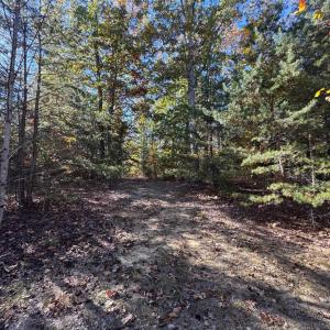 Photo #27 of tbd MIRACLE RIDGE RD, ELKTON, VA 35.9 acres