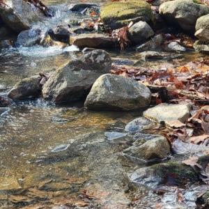 Photo #9 of tbd MIRACLE RIDGE RD, ELKTON, VA 35.9 acres