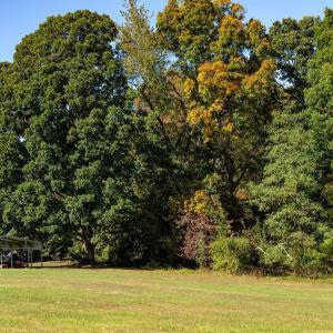 Photo #2 of TBD HARRISTON RD, GROTTOES, VA 4.0 acres