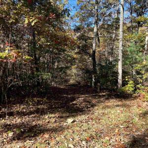 Photo #15 of 1225 LITTLE CALF PASTURE HWY, SWOOPE, VA 20.3 acres