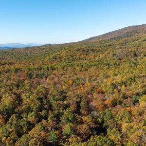 Photo #46 of 1225 LITTLE CALF PASTURE HWY, SWOOPE, VA 20.3 acres